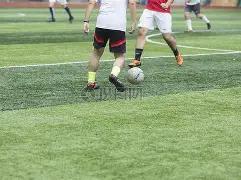 埃斯特旺英,超首秀待时,马雷斯卡揭,神殿娱乐,神殿娱乐官网,中国神殿娱乐,神殿娱乐入口