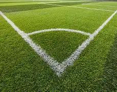 艾迪有望成,为申花新首,发中卫,神殿娱乐,神殿娱乐官网,中国神殿娱乐,神殿娱乐入口