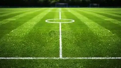 《揭秘迪尼新论：哈兰德饮食风潮或将兴起，但模仿者难达巨星高度》