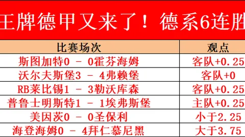 巴西男足国家队主帅儒尼奥尔被剥夺职务